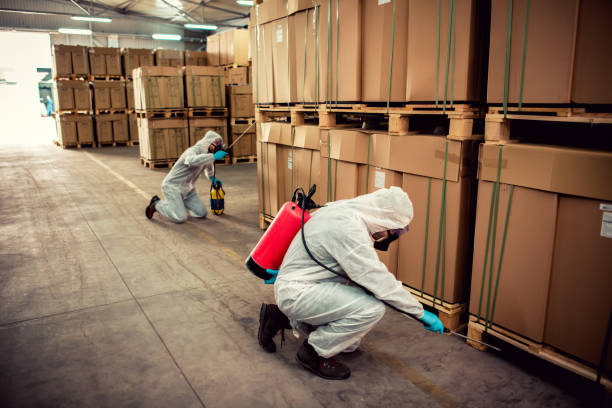 Best Ant Control Services  in Muskegon, MI