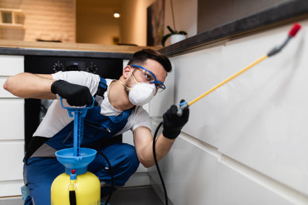 Best Flea Control Services  in Muskegon, MI