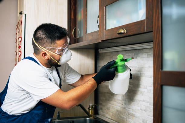 Best Wasp Removal Services  in Muskegon, MI