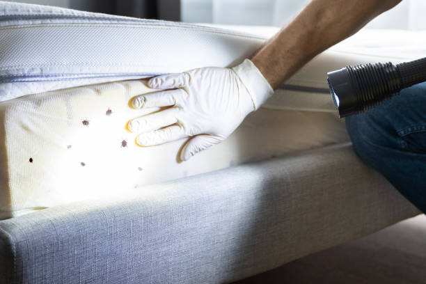 Best Affordable Pest Control Services  in Muskegon, MI