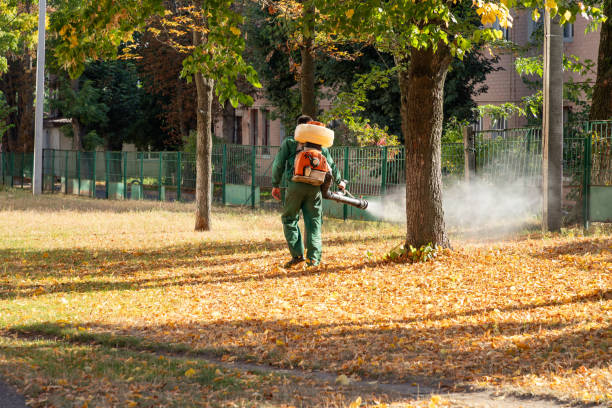 Best Mosquito Control Services  in Muskegon, MI