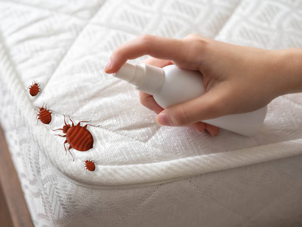 Best Bed Bug Extermination  in Muskegon, MI